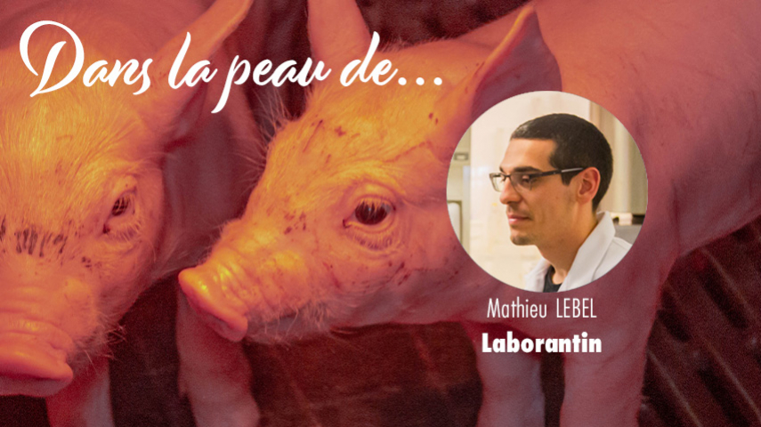 Dans la peau d'un Laborantin