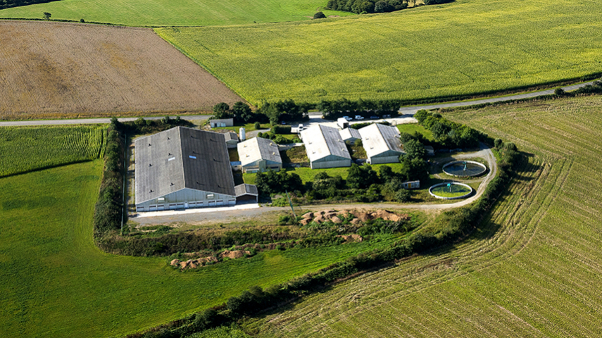 Gènes Diffusion recherche un Responsable d’Unité de Production Porcine (F/H)