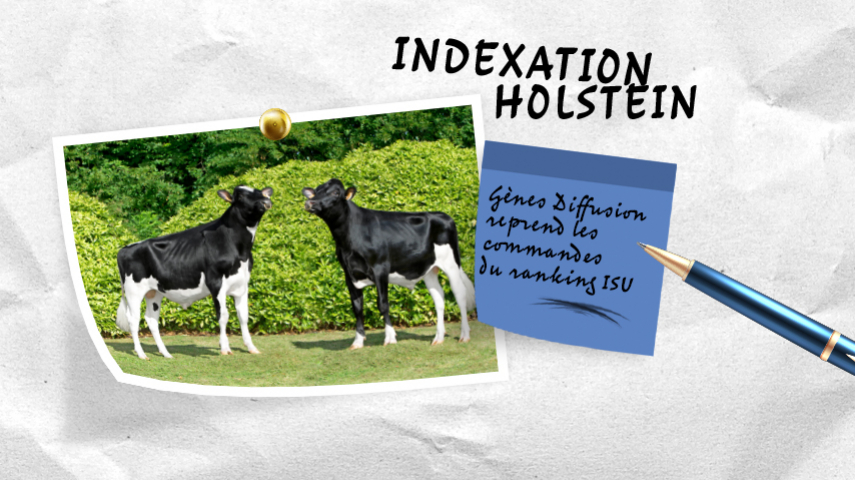 Index Holstein : Gènes Diffusion reprend les commandes du ranking ISU