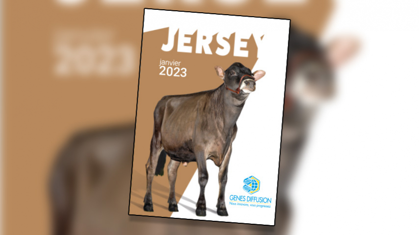 Gamme Jersey - Hiver 2023