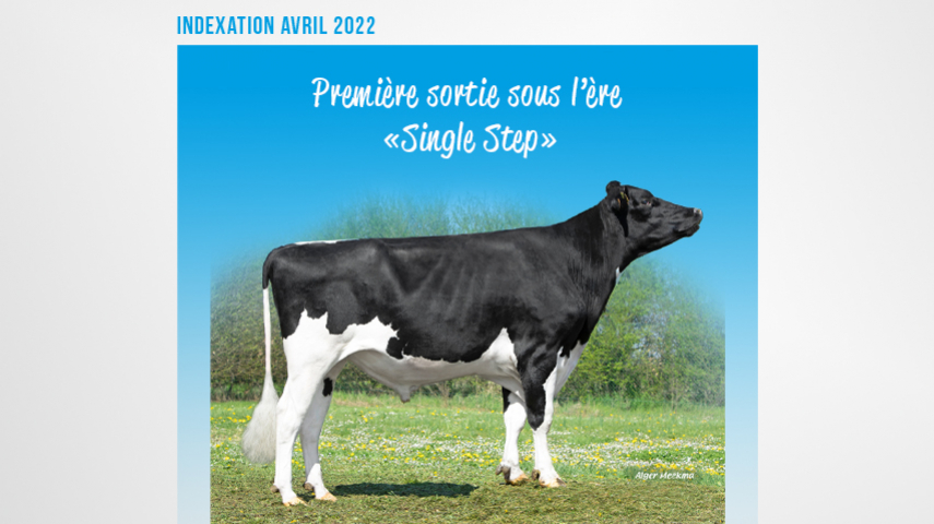 Indexation Holstein : Première sortie sous l’ère Single Step