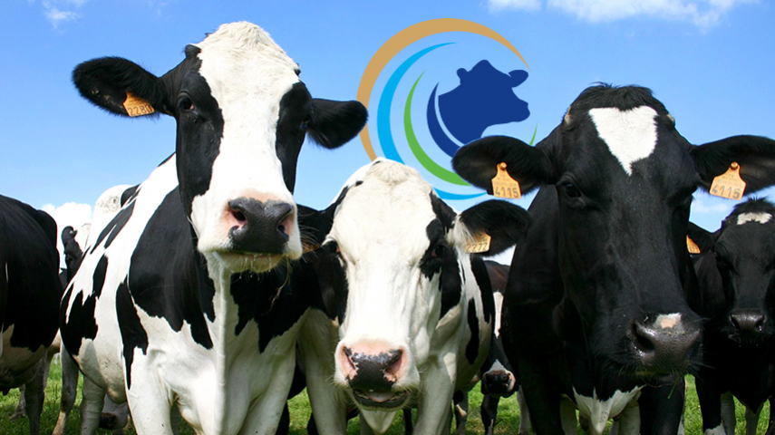 GD Biotech, lauréat des Sommets d'Or avec CowBiot® 