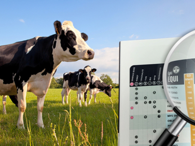 Indexation décembre 2025 – Des nouveautés pour tous les goûts !