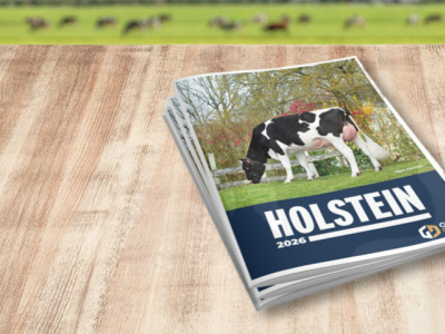 Suite à la dernière indexation, place à une nouvelle offre génétique