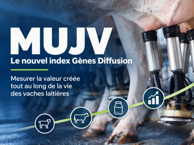 MUJV : le nouvel index Gènes Diffusion