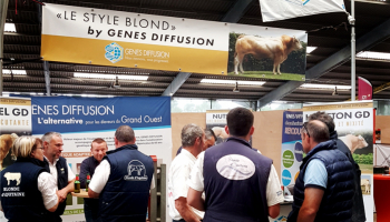 Inter-régional Blonde d'Aquitaine du grand Ouest