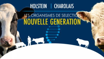 Présentation de l'OS