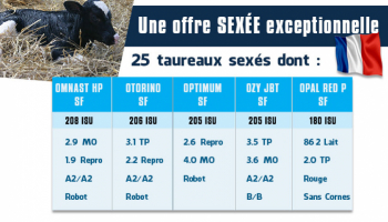 Une offre sexée exceptionnelle
