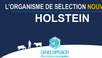 OS Gènes Diffusion : C’est parti !