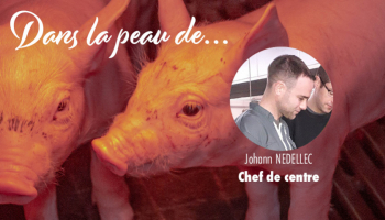 Dans la peau d'un Chef de centre