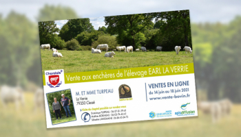 Vente de l'Elevage Turpeau du 14 au 18 juin : les dernières news