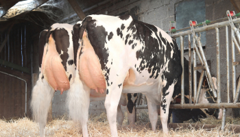 Photos du mois : deux filles de ROSCO