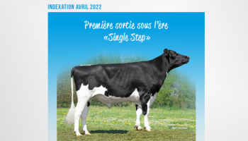 Indexation Holstein : Première sortie sous l’ère Single Step