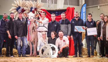 NIGHT RED fait le show